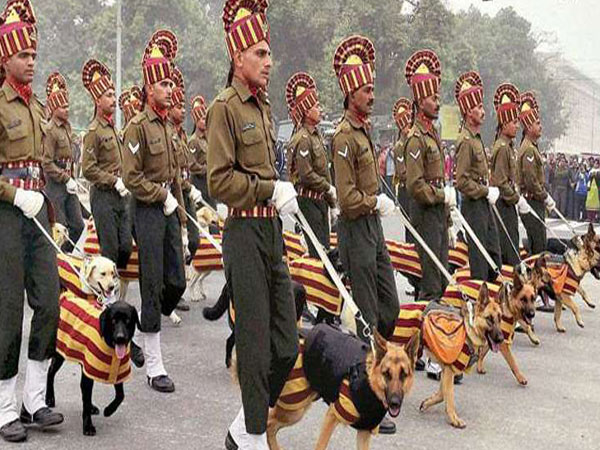 military-dogs2